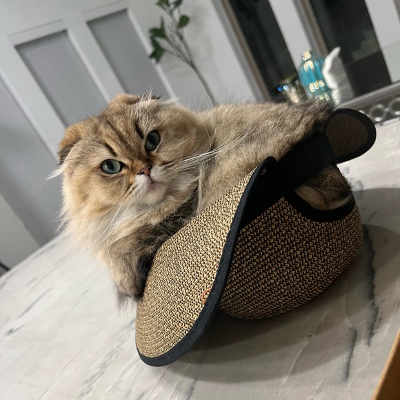 Welcome to my closet ♡ - Picture 15 of 16